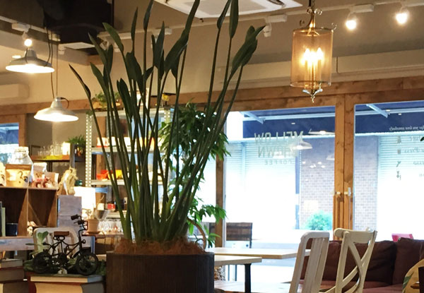 業務用エアコン 飲食店